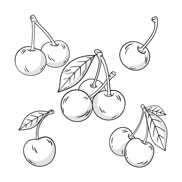 Handgezeichnete Kirschumrissillustration