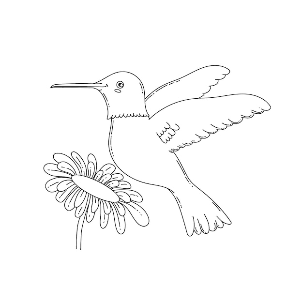 Vektor handgezeichnete kolibri-umrissillustration