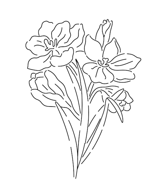 Handgezeichnete Krokusse Vektorblumen Strichzeichnungen
