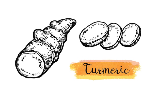 Handgezeichnete Kurkuma-Tinte-Skizze