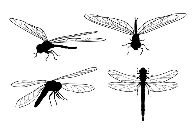 Vektor handgezeichnete libellen-silhouetten-kollektion