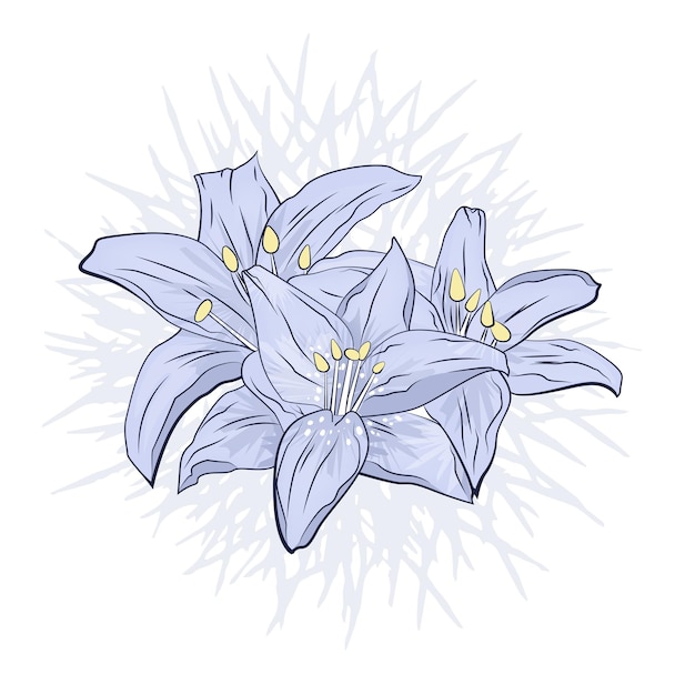 Handgezeichnete Lilien Blumenstrauß