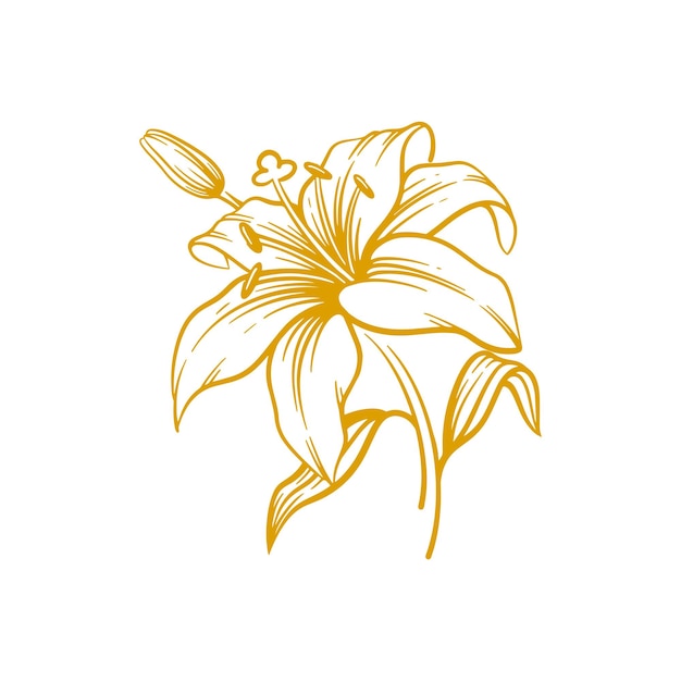 Handgezeichnete lilienblume. lilienblumen-linienkunst-vektorillustration