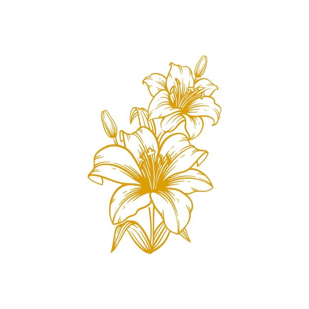 Vektor handgezeichnete lilienblume. lilienblumen-linienkunst-vektorillustration