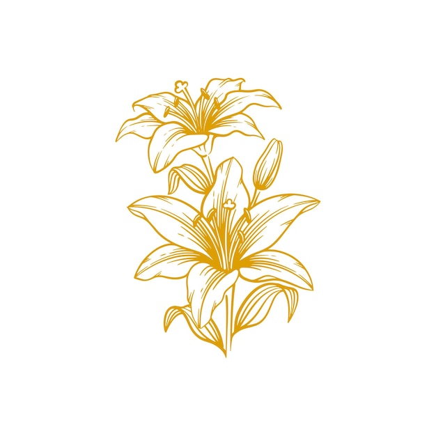 Vektor handgezeichnete lilienblume. lilienblumen-linienkunst-vektorillustration