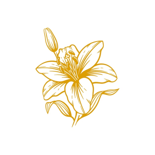 Vektor handgezeichnete lilienblume. lilienblumen-linienkunst-vektorillustration