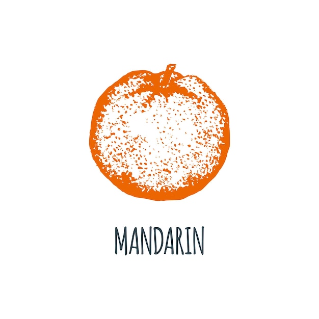 Handgezeichnete mandarine auf weißem hintergrund. vektor-illustration von obst. skizze für vegetarisches essen. produkt vom bauernmarkt.