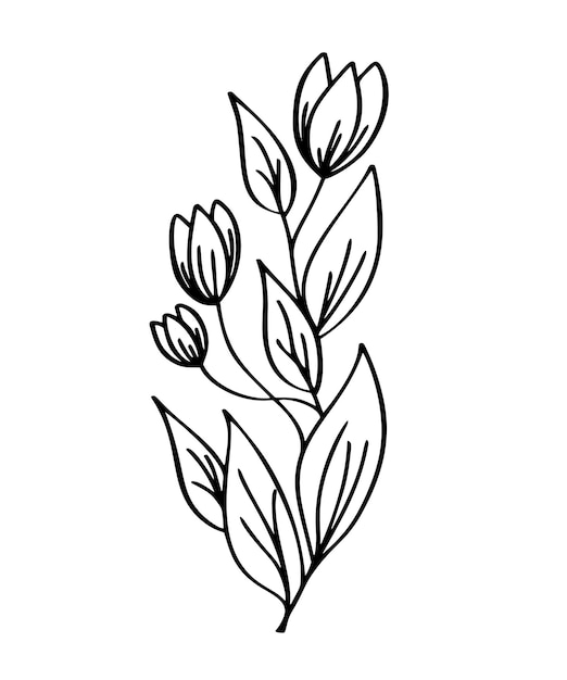 Handgezeichnete moderne blumenzeichnung und skizze floral mit lineart-vektorillustrations-hochzeitsdesign