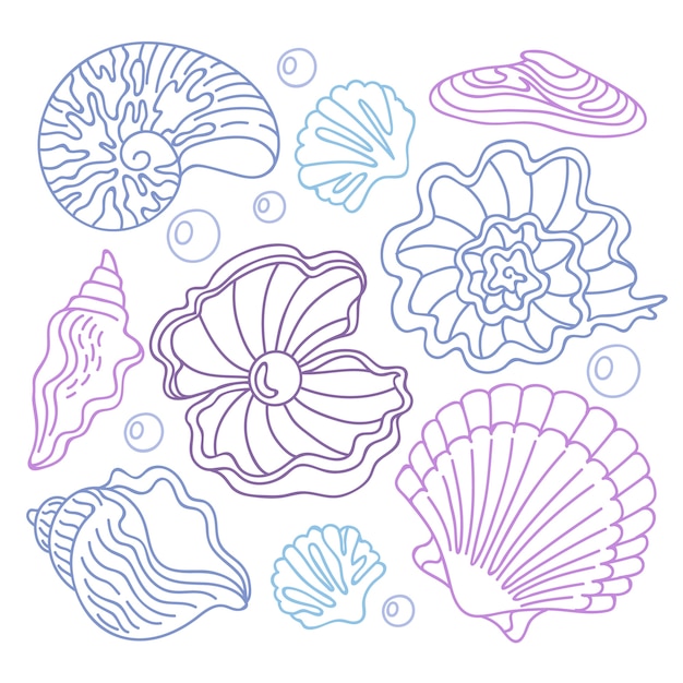 Handgezeichnete Muschelumrissillustration