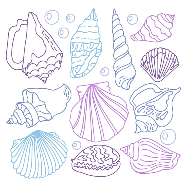 Handgezeichnete Muschelumrissillustration