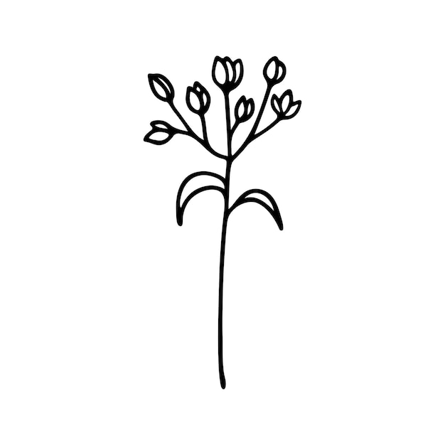 Handgezeichnete pflanzliche Blumencliparts Einzeiliger Doodle-Vektor