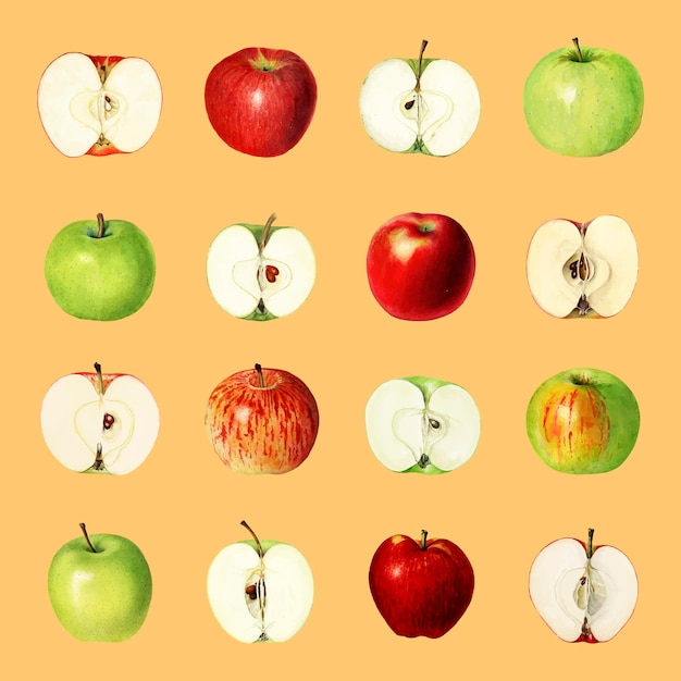 Handgezeichnete rote Äpfel auf einem orangefarbenen Hintergrundvektor