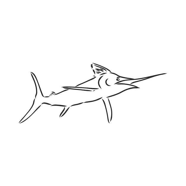 Handgezeichnete Schwertfisch-Vektor-Illustration in Skizze Stil Marlin-Vektor-Skizze