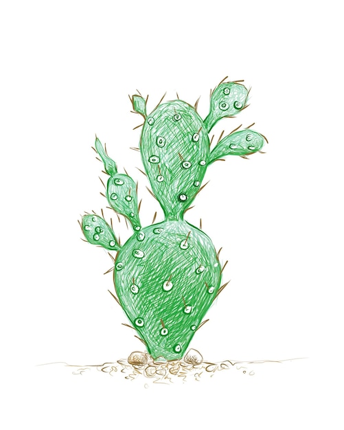 Handgezeichnete skizze der brasiliopuntia-kaktuspflanze