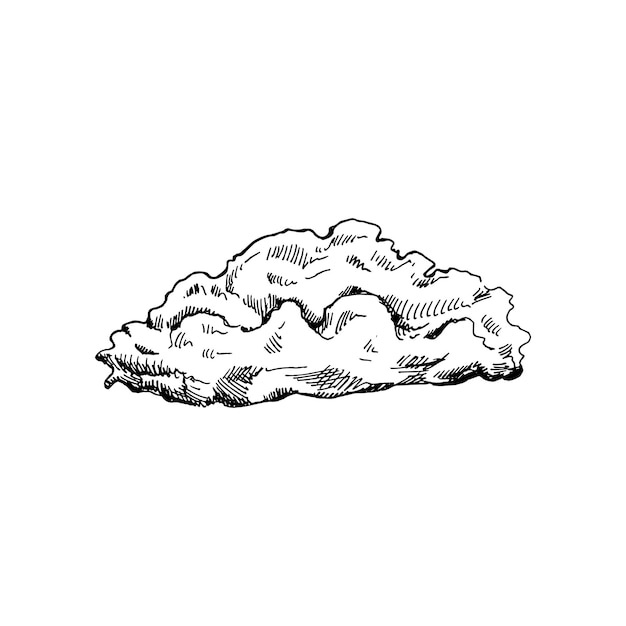 Vektor handgezeichnete skizze einer wolke auf weißem hintergrund öko-konzept doodle-vektorillustration