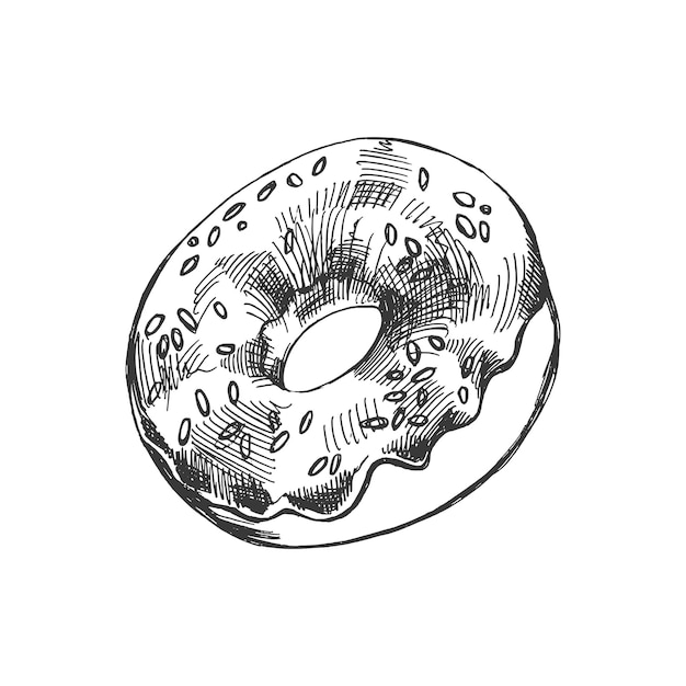 Vektor handgezeichnete skizze eines donuts. vintage-illustration. gebäck, süßigkeiten, dessert