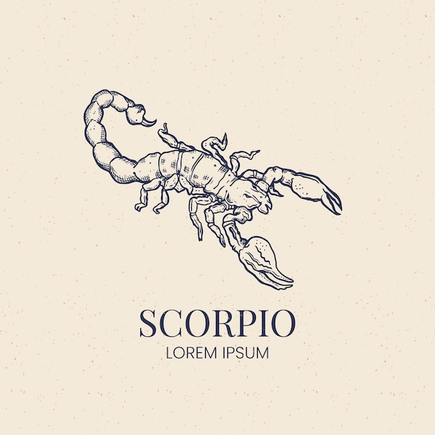 Vektor handgezeichnete skorpion-logo-vorlage mit flachem design