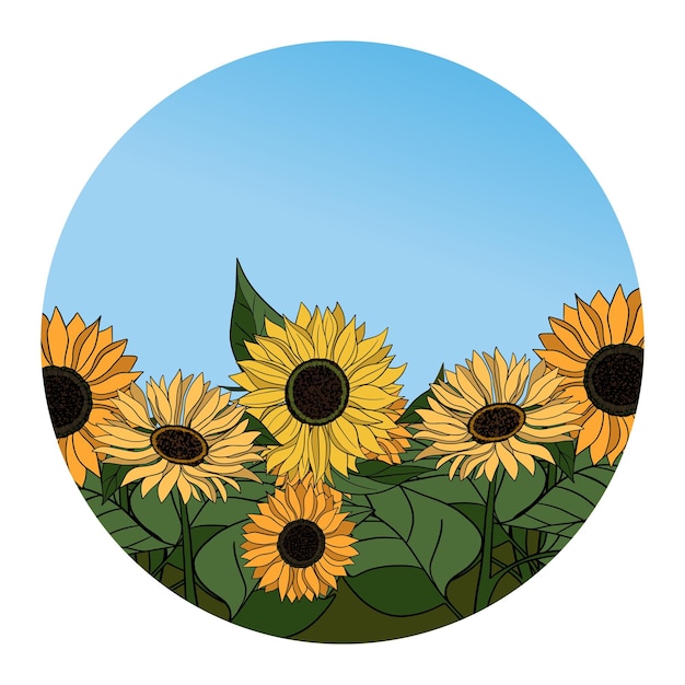 Handgezeichnete Sonnenblumenblüte und blauer Himmel Botanische Sommer-gelbe Blütenpflanze