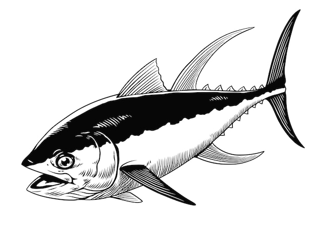 Vektor handgezeichnete tonfisch-illustration im vintage-stil