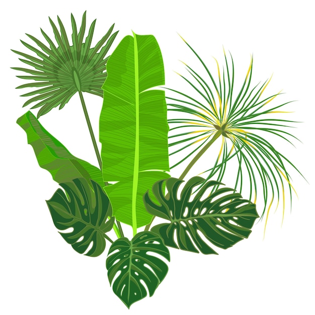 Handgezeichnete tropische Palmblattkomposition mit exotischer Dschungelblume auf weißem Hintergrund Botanische Vektorillustration