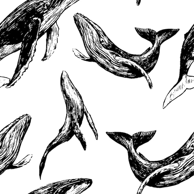 Handgezeichnete Vektor nahtlose Muster von schönen Walen. Ozeantierskizzen Tapete. Retro-grafischer Hintergrund. Abstraktes monochromes Design für Druck, Verpackung, Dekor, Textilien, Stoff.