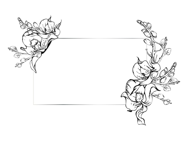 Vektor handgezeichnete vektorfarbe orchideenblüten und zweige monochrom detaillierte kontur horizontale rahmenkomposition isoliert auf weißem hintergrund entwurf für wandkunst hochzeitsdruck tätowierung deckkarte
