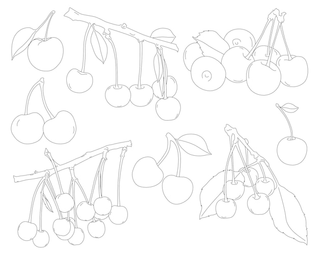 Handgezeichnete Vektorillustration aus frischen Kirschfrüchten