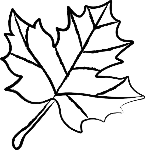 Handgezeichnete Vektorillustration von Ahornblatt