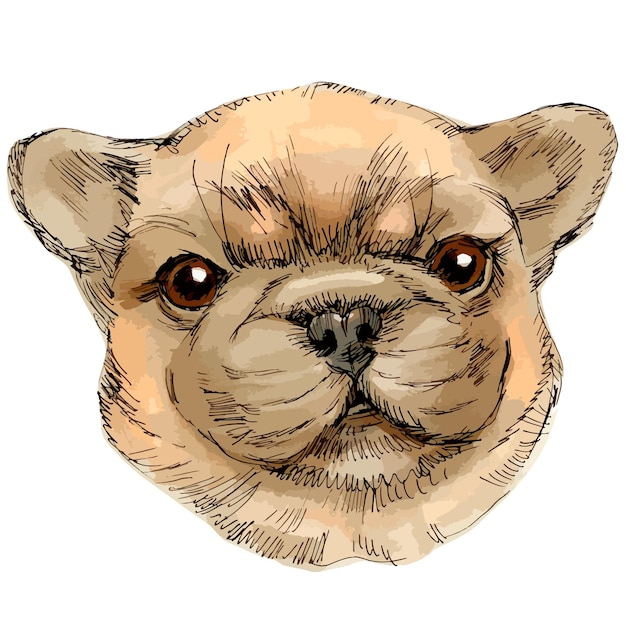 Handgezeichnete vektorskizzenmarkierungsillustration des netten lächelnden hundeporträts