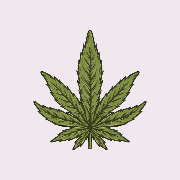 Vektor handgezeichnete vintage cannabis