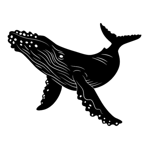 Vektor handgezeichnete wal-silhouette