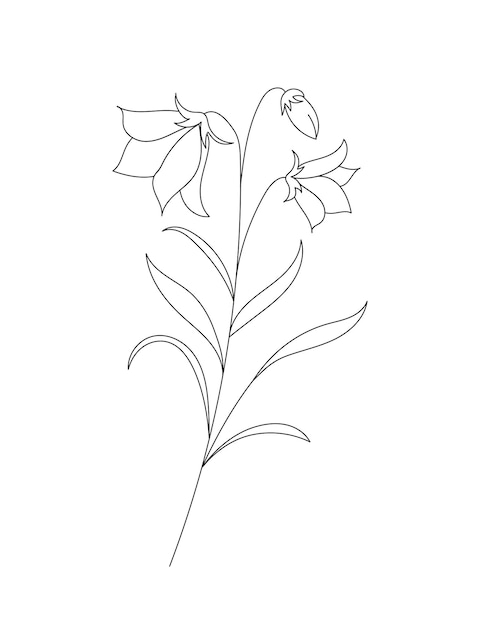 Handgezeichnete wilde Feldflora Blüten Blätter Kräuter Pflanzen Zweige Minimalblumen botanische Linie