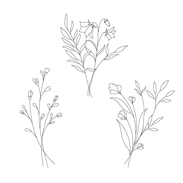 Vektor handgezeichnete wilde feldflora blüten blätter kräuter pflanzen zweige minimalblumen botanische linie