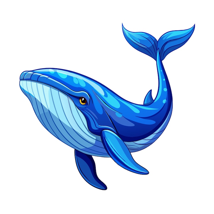 Vektor handgezeichnete zeichentrickfilme von blauwalen, tierillustrationen, clip-art