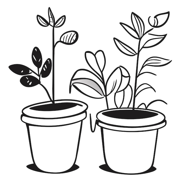 Handgezeichnete zimmerpflanzensammlung oder sammlung schöner zimmerpflanzen in töpfen