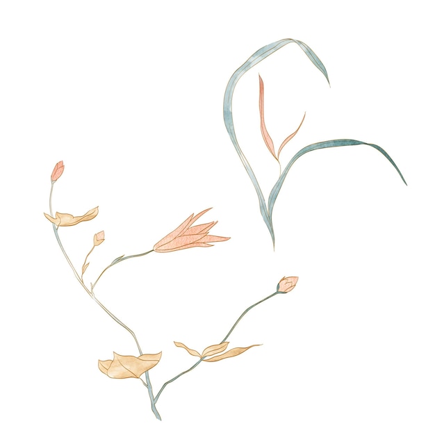 Handgezeichnete Zweige von Blättern und Blumen mit natürlichen Mustervektoren