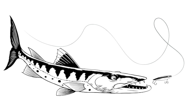 Vektor handgezeichneter barracuda-fisch, der den köder fängt