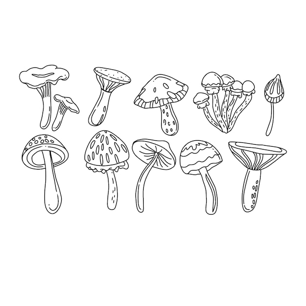 Handgezeichneter doodle-illustrationsvektorsatz für pilze