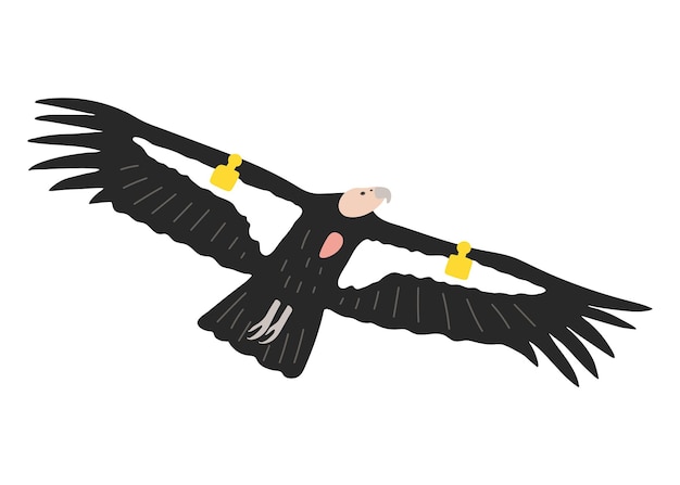 Vektor handgezeichneter kalifornischer kondor, eine cartoon-illustration einer gefährdeten vogelart