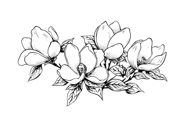 Vektor handgezeichneter magnolienblumen-tinte-sketch-vektorillustration im gravierungsstil