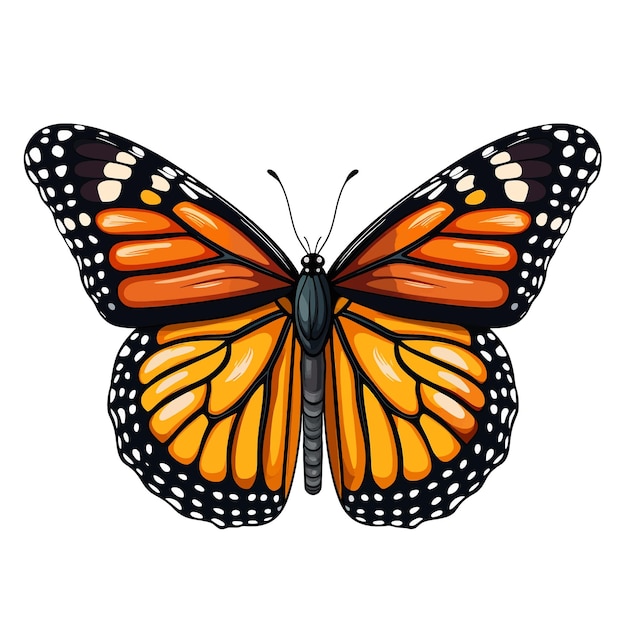 Vektor handgezeichneter monarch-schmetterling-cartoon-vektor-illustration-clipart mit weißem hintergrund