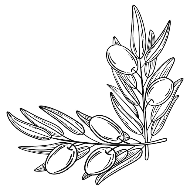 Handgezeichneter Olivenkranzrahmen