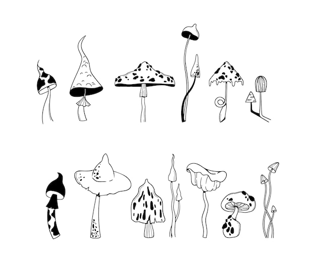 Vektor handgezeichneter pilz-clip-art-bundel umriss giftiger pilze fliegen agaric amanita pilz