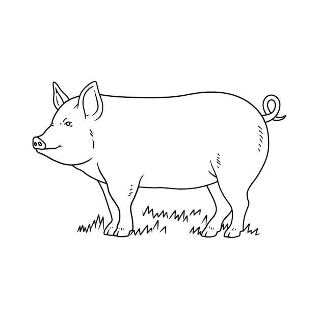 Handgezeichneter Schweineumriss