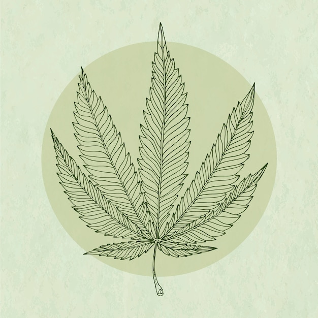 Vektor handgezeichneter umriss der marihuana-blätter