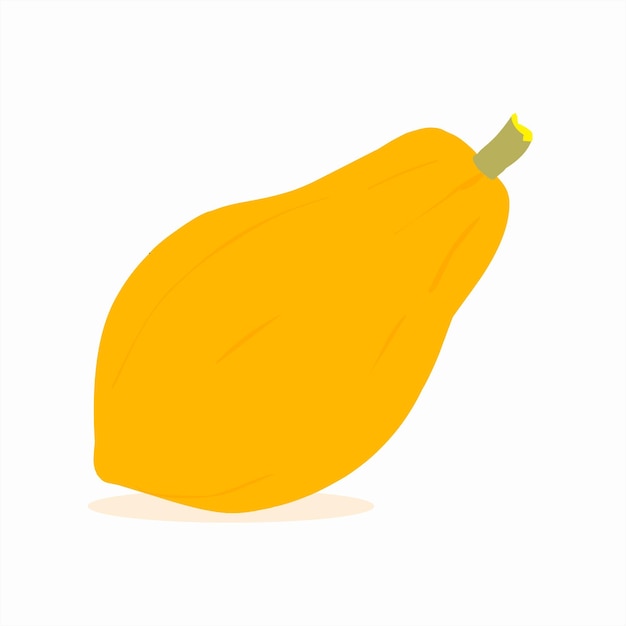 Handgezeichneter Vektor Papaya