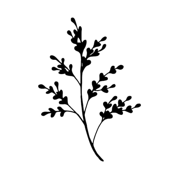 Handgezeichneter Zweig mit Blättern auf weißem Hintergrund. Dekorative Doodle-Skizze-Darstellung. Vektor florales Element.