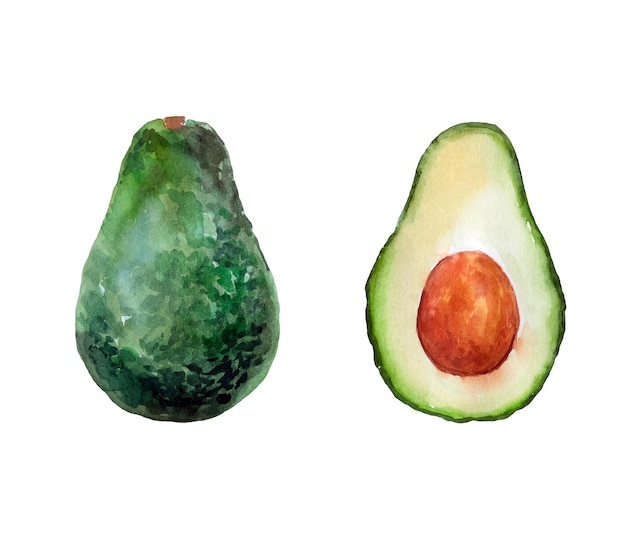 Handgezeichnetes Aquarell-Gemüse-Avocado-Set isoliert auf weißem Hintergrund