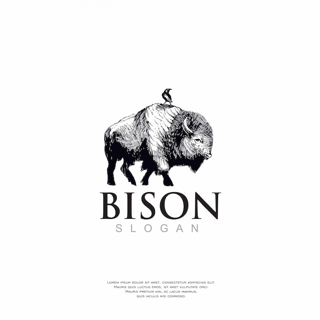 Vektor handgezeichnetes bison-logo