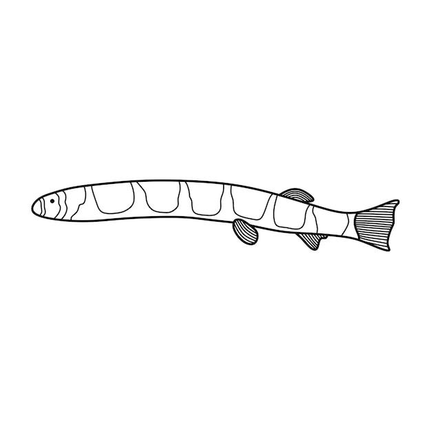 Handgezeichnetes cartoon-vektor-illustration kuhli loach-symbol isoliert auf weißem hintergrund